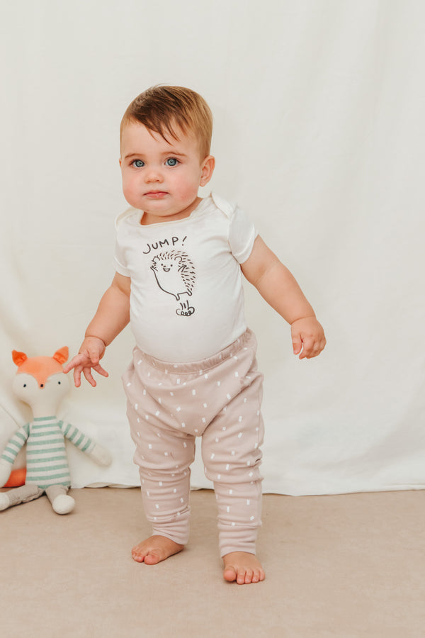 Hedgehog Body Set